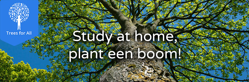 Stay at home plant een boom - trees for all